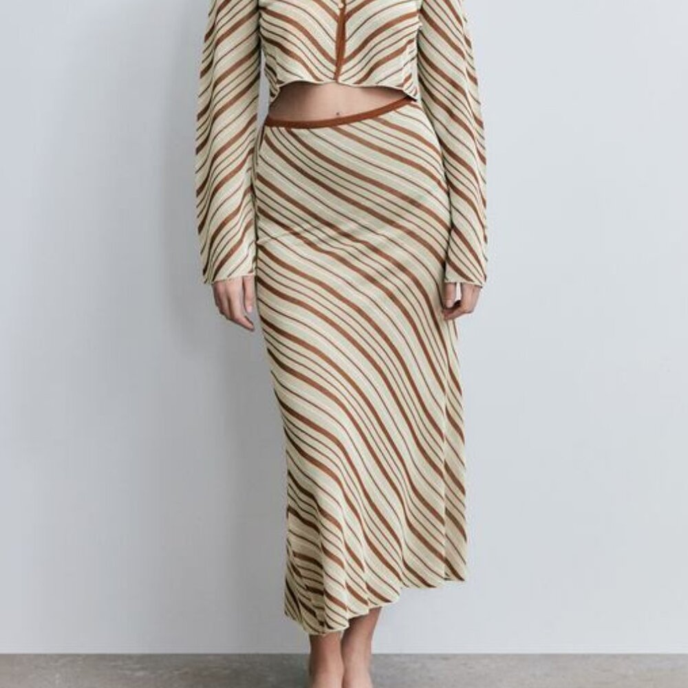 Zara Striped Knit Skirt
